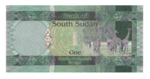 South Sudan 1 Pound Dr John Garang Currency @ Coins and Stamps