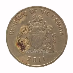 The Gambia 50 Bututs Magnetic Ox used